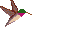 Hummy